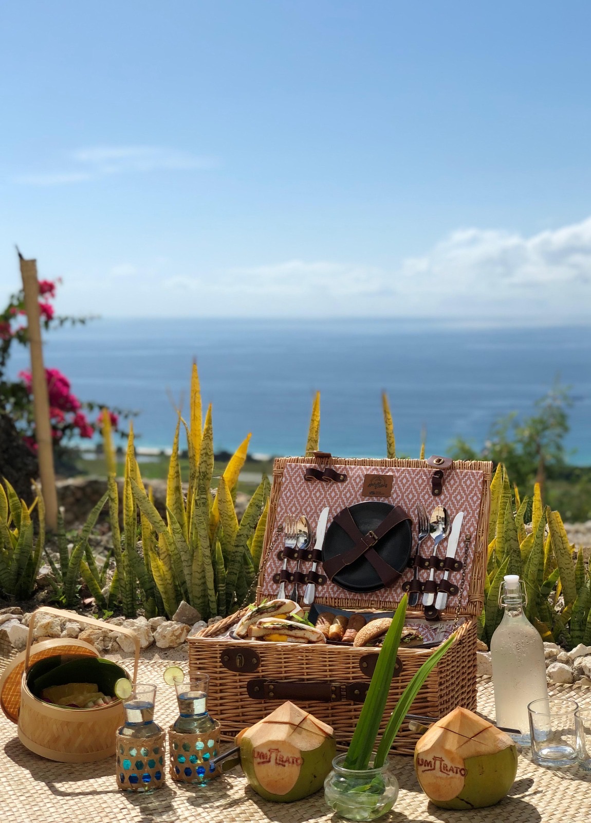 Picnic basket and coconut drinks with an ocean view